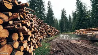 北京桑拿按摩市场观察：行业发展趋势与竞争格局 poster