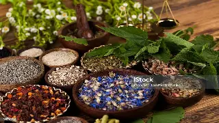 北京桑拿按摩市场观察：行业趋势、竞争格局与未来展望 图片