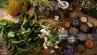 初体验北京桑拿按摩？新手必看：常见问题解答，避坑指南都在这里！