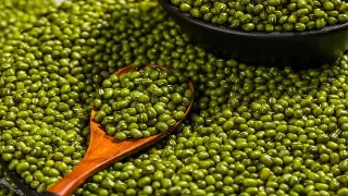 新手桑拿按摩攻略：最佳时间选择，享受京城舒缓体验