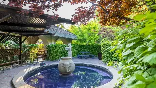 按摩大师李叔的养生经：指尖上的健康奇迹，不服来辩！