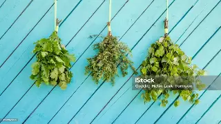 按摩小白入门指南：告别踩坑！避开这些雷区，享受安心舒适的按摩体验