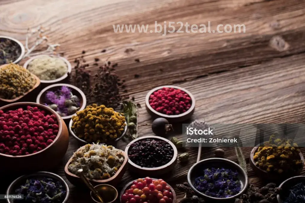 足底按摩反射区图